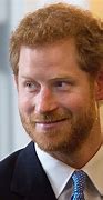 Image result for Prince Harry Book Cover