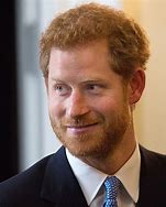 Image result for Prince Harry Polo Florida