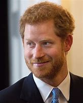Image result for Prince Harry Polo People's