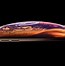 Image result for iPhone XS Screen Close Up