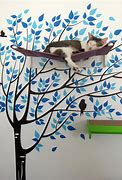Image result for Jackson Galaxy Catification