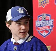 Image result for Toronto Maple Leafs Funny