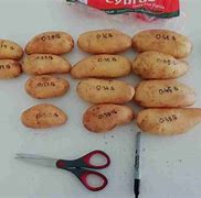 Image result for 5 Lb Bag of Potatoes Scale