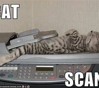 Image result for Funny Copier Cartoons