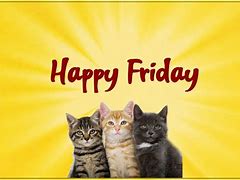 Image result for It's Friday Cat Meme