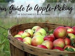 Image result for Michigan Apple Varieties