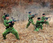 Image result for North Korea Yukto