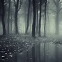 Image result for Mystical Forest Names