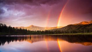 Image result for Rainbow Reflection