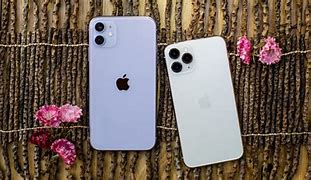 Image result for iPhone 11 vs 11 Pro