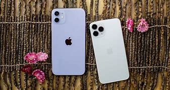 Image result for iPhone 11Xmas vs 11 Pro