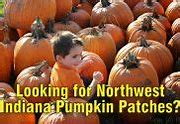 Image result for Apple Hill Pumpkin Patch