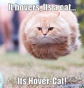 Image result for Hover Cat Meme