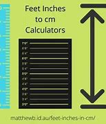 Image result for 6 Feet in Centimeters