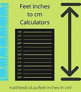 Image result for How Much Is 164 Cm in Feet