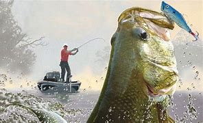 Image result for Bass Fishing Wallpaper Desktop