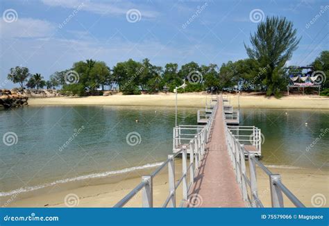 Image result for System Testing Report Example