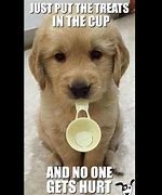 Image result for Really Cute Dog Memes
