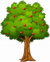 Image result for Apple Fruit Tree PNG