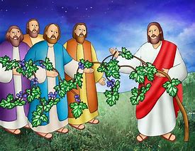 Image result for Jesus Vine Branch Clip Art