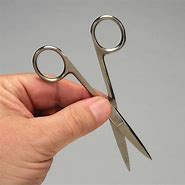 Image result for Scissors Disecctiing