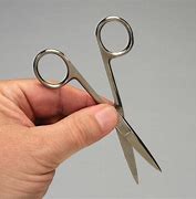 Image result for Stainless Steel Sharp Scissors