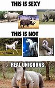 Image result for Fabulous Unicorn Memes