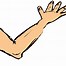 Image result for Clip Art Arm Reases