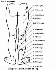 Image result for Acupuncture Chart