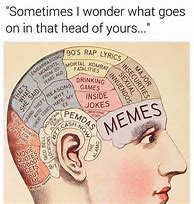 Image result for Brain Full Meme