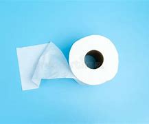 Image result for Single Roll Toilet Paper