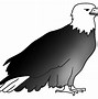 Image result for Drawings of Bald Eagles
