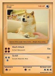 Image result for Doge Pokemon