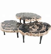 Image result for Petrified Wood Tables