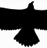 Image result for Outline of an Eagle Flying