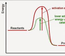 Image result for Activation Energy Definition Biology