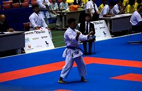 Image result for Okinawan Karate Kata
