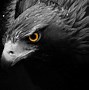 Image result for Black Eagles Desktop Background
