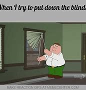 Image result for Window Blinds Memes