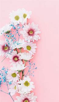 Image result for Pink Floral iPhone Wallpaper