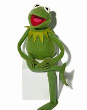 Image result for Kermit Puppet Meme