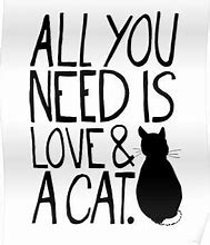 Image result for All you need is love and a cat