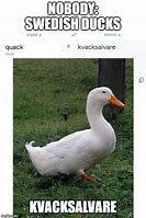 Image result for Swedish Duck Meme