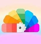 Image result for 8 Color Rainbow