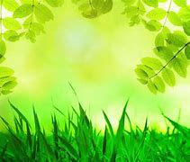 Image result for Green Background Design