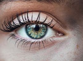 Image result for Reusable Contact Lenses