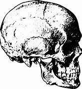 Image result for Dark Skull Drawings