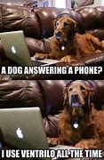 Image result for Funny Answer the Phone Meme