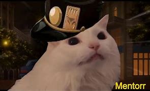 Image result for Thorston Cat Meme