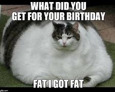 Image result for Evil Birthday Cat Meme